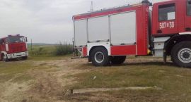 zdjęcie nr 13