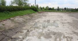 zdjęcie nr 12