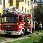 Fotka nr 2 z 8