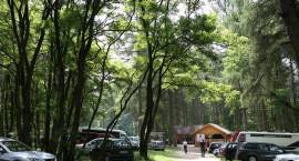 zdjęcie nr 55