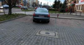 zdjęcie nr 15