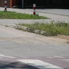 Fotka nr 5 z 21