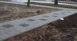 zdjęcie nr 7