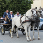 zdjęcie nr 14
