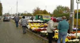 zdjęcie nr 8