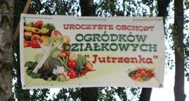 zdjęcie nr 15