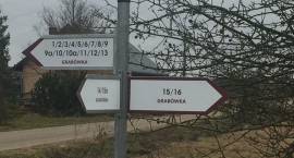 zdjęcie nr 8