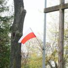 zdjęcie nr 26