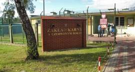 Osadzeni z Zakładu Karnego w Czerwonym Borze sprzątają las