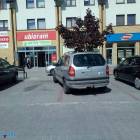zdjęcie nr 11