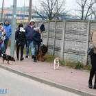 zdjęcie nr 9