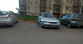 zdjęcie nr 30