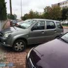 Fotka nr 2 z 32