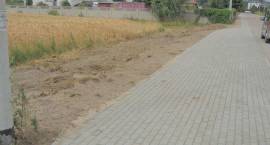 zdjęcie nr 21