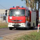 Fotka nr 4 z 15