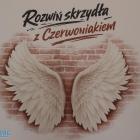 zdjęcie nr 209