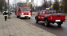 Fotka nr 2 z 5