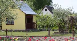 zdjęcie nr 8