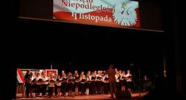 zdjęcie nr 12