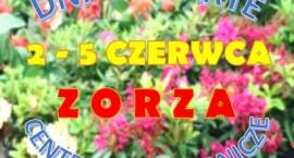 Fotka nr 0 z 7