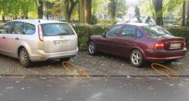 zdjęcie nr 9