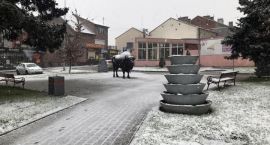 zdjęcie nr 9