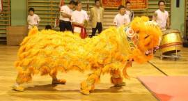 Międzynarodowe Mistrzostwa Polski Karate Kyokushin IBK w Zambrowie