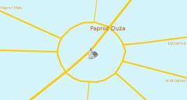 Nietypowe położenie Paproci Dużej