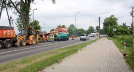 zdjęcie nr 7