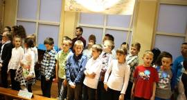 zdjęcie nr 12