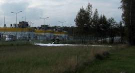 zdjęcie nr 7