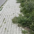 zdjęcie nr 10