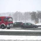 Fotka nr 3 z 18