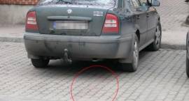 zdjęcie nr 19