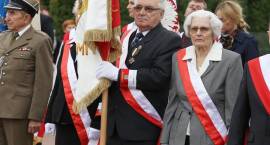 zdjęcie nr 42