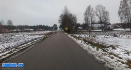 zdjęcie nr 7