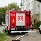 Fotka nr 5 z 31