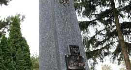 zdjęcie nr 31