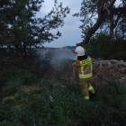 Fotka nr 1 z 14