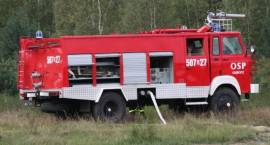 zdjęcie nr 24
