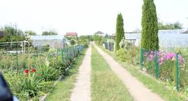 zdjęcie nr 58
