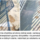 Fotka nr 1 z 8