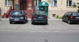 zdjęcie nr 20