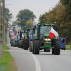 zdjęcie nr 9