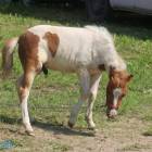 zdjęcie nr 48