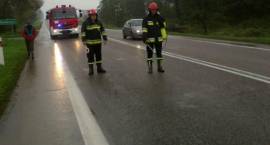 Droga krajowa nr 8 (odcinek Zambrów - Białystok). Strażacy nautralizują wyciek oleju na...