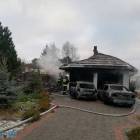 Fotka nr 5 z 10