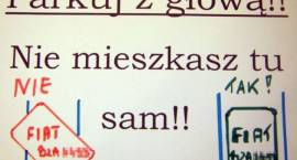 zdjęcie nr 7