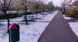 Skutki ataku zimy w Zambrowie w dn. 4 maja 2011 r.