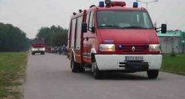 zdjęcie nr 8